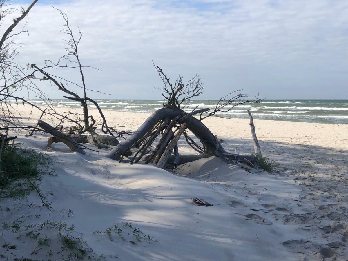 Prerow „Seaside“-Strandnah! Luaran gambar