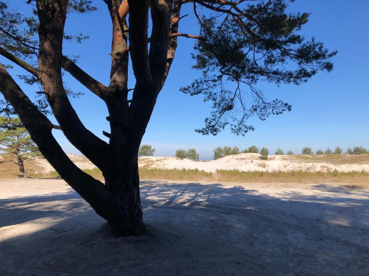 Prerow „Seaside“-Strandnah! Luaran gambar